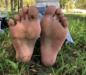 蔷薇风暴电视剧在线观看免费高清