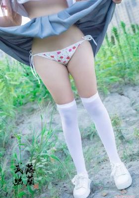 盖亚奥特曼中文版免费观看