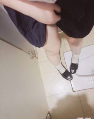 金花瓶楷梅花